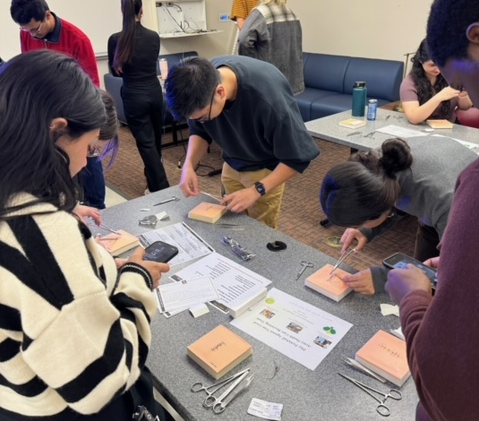 Students practice a clinical technique on patches of fake flesh.